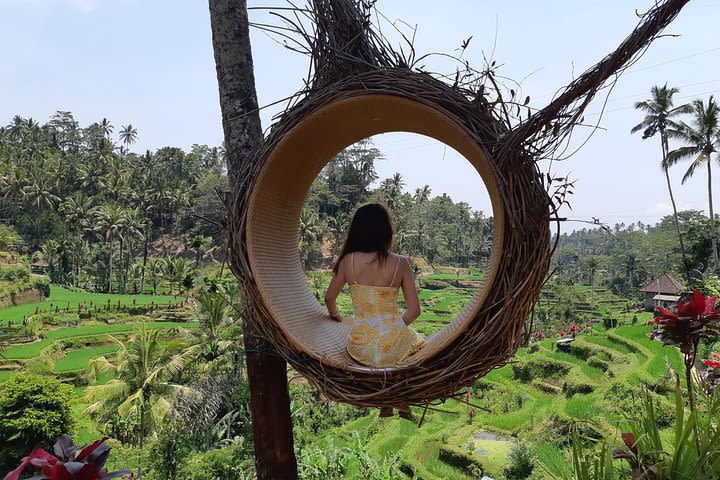 Best Of Ubud All Inclusive Tour, Waterfall,Rice Terrace and Temple image