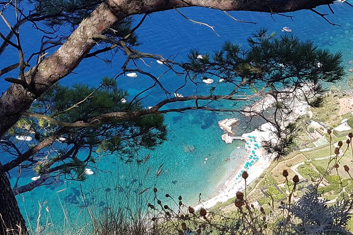 Capri Private Day Tour with Private Island boat tour from Rome image