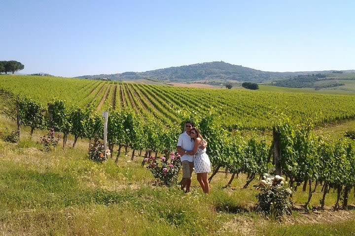 Brunello Vineyards Bus Tour image