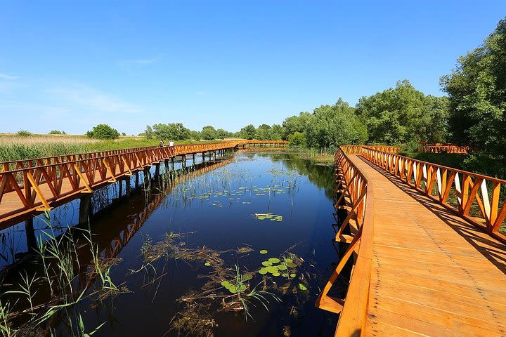 Stunning Kopacki Rit Nature Park Full-day Private Tour from Zagreb image