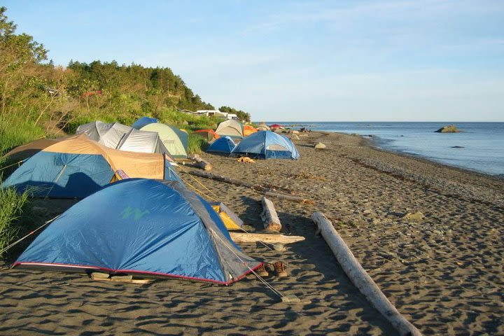 Overnight Phu Quoc Beach Camping Tour Including BBQ and Squid Fishing image