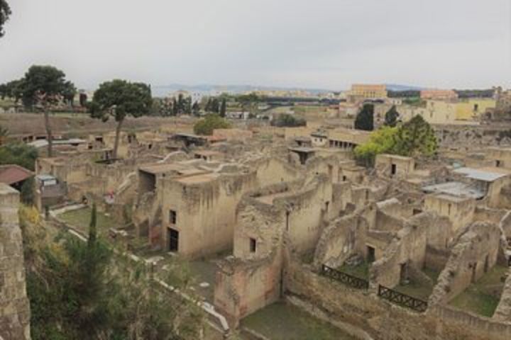 Skip the Line Ancient Herculaneum Small Group Walking Tour with Top Rated Guide image