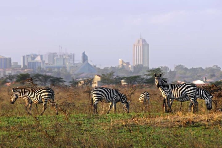 Day Trip - Nairobi National Park, David Sheldrick, Giraffe Center & Kazuri Beads image