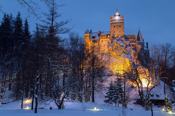 Bear Sanctuary and Bran Castle with a Professional Licensed Guide—Day Trip image