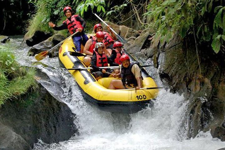 White Water Rafting Ubud with Private Hotel Transfer and Lunch image