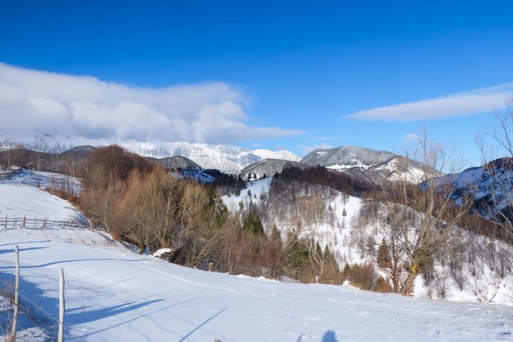 Winter hiking tour Carpathian Mountains image