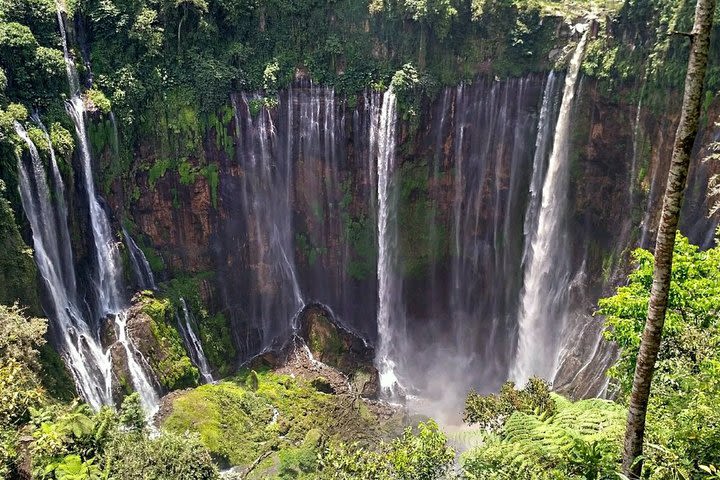 Full-Day Private Guided Eco Tour of Tumpak Sewu Waterfall image