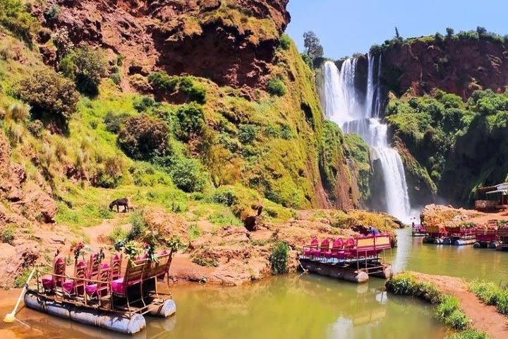 Ouzoud Falls Day Trip from Marrakech image