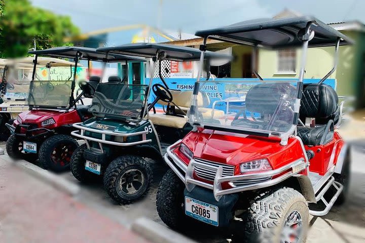 San Pedro Golf Cart Rental  image