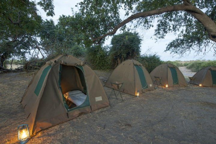 2Days 2 Nights camping safari in Chobe national park,Botswana image