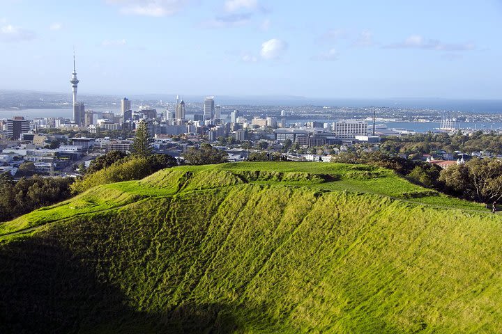 Half-day Discover Auckland City Sightseeing Tour image