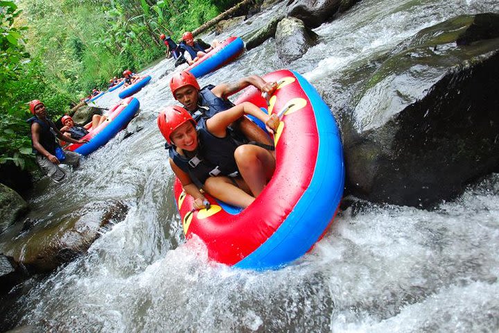 Bali River Tubing and Bali Swing Packages image