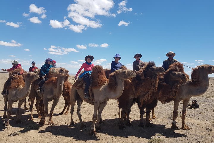 6 Day Gobi Tour 16-21 October 2020 image