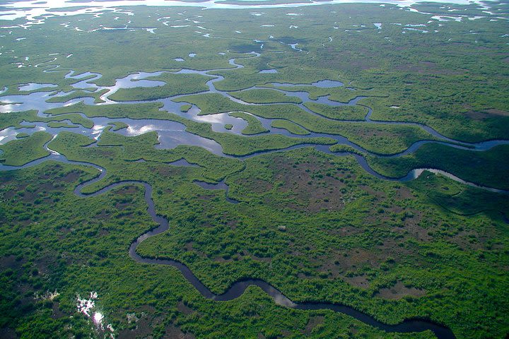 Everglades Fan-Boat with or without roundtrip transport image