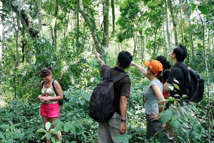 Bali Jungle Trek With Canoeing, Banyumala Waterfall, Wana Giri Hill And Temple image