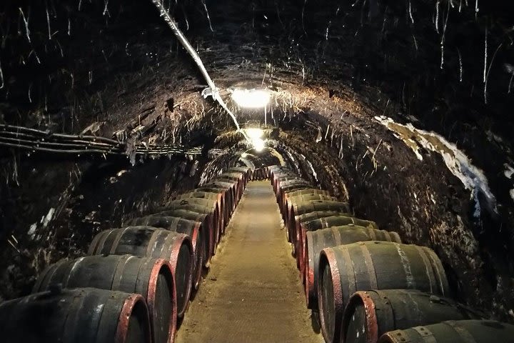 Grand Wine Tasting Tour of Gyongyos, Eger and Tokaj  image