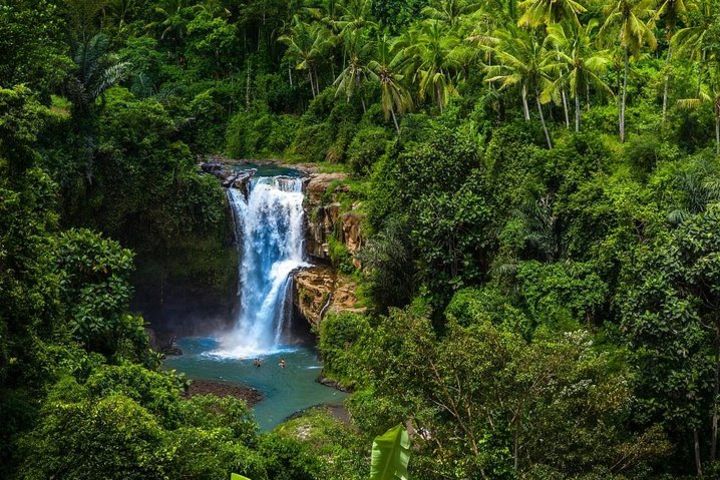 Ubud Tour : Waterfall - Water Temple - Jungle Swing - Monkey Forest - Free WiFi image