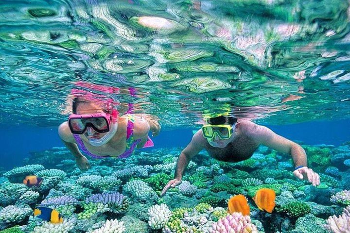 Adventure Snorkeling Full Day Boat Trip With Water Sports and Lunch - Hurghada image