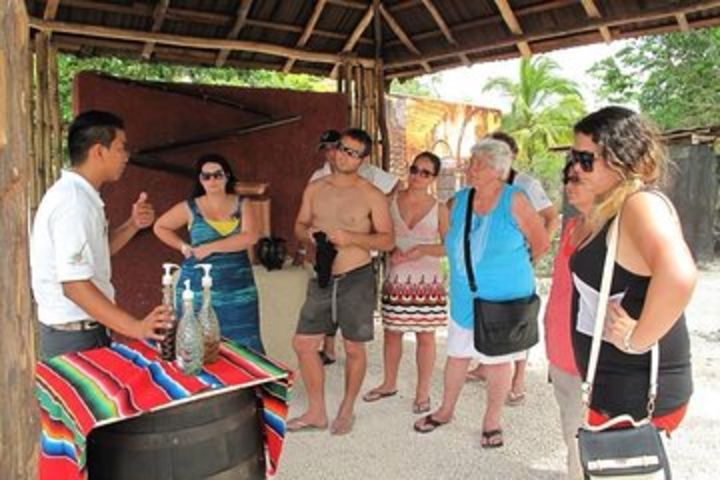 Tequila History Tour and Beach Break  image