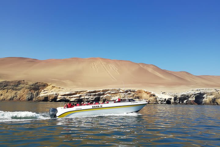 Ballestas Islands, Tacama Vineyard & Huacachina Oasis Private Tour from Lima image