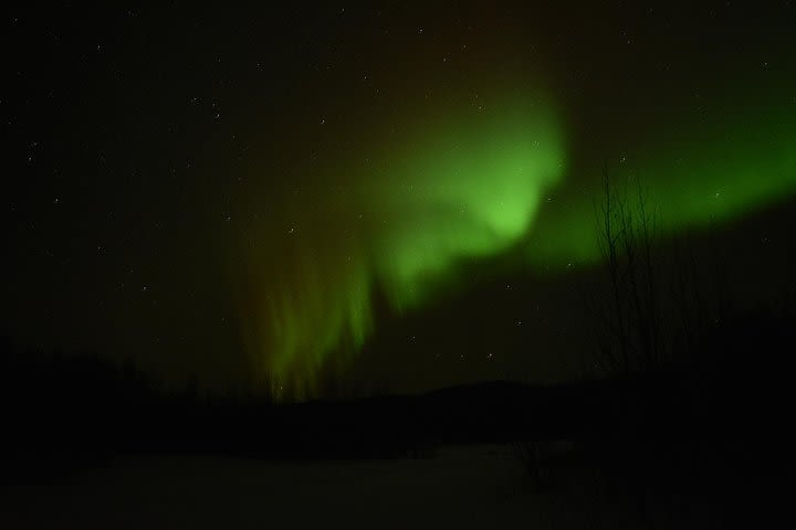 Northern Lights and Chena Hot Springs Tour from Fairbanks image