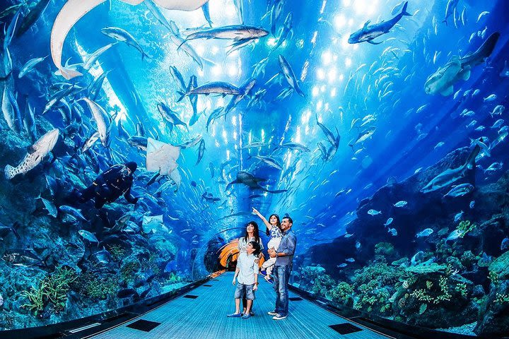 Burj Khalifa: At the Top (125th floor) & Dubai Aquarium Combo Entrance image