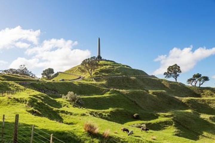 Discover Auckland City - Highlights Tour image