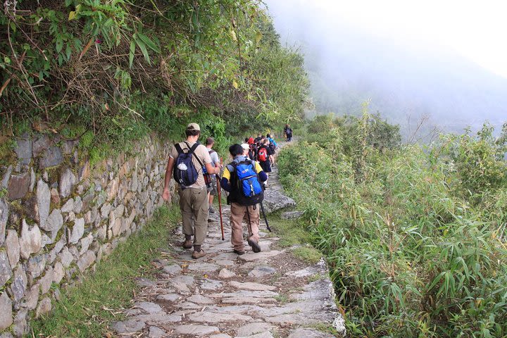 2 Days |ALL INCLUDED| Inca Trail to MachuPicchu (Private) image