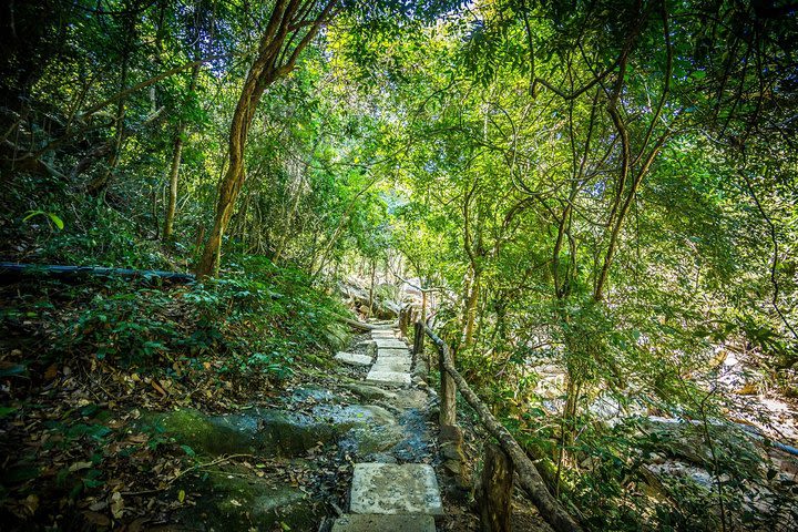 Private Full Day Explore Jumping Cliff Waterfall and Relax At Hot Spring Center image