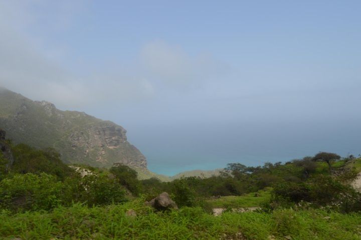 West Salalah Beach Excursion (Swim at Fazayah Beach) Half Day Private Tour image