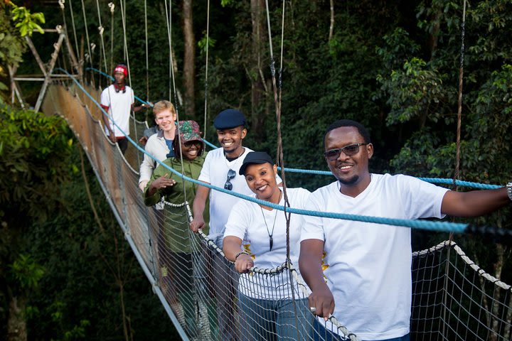 7 Magical Days in Rwanda Tour image