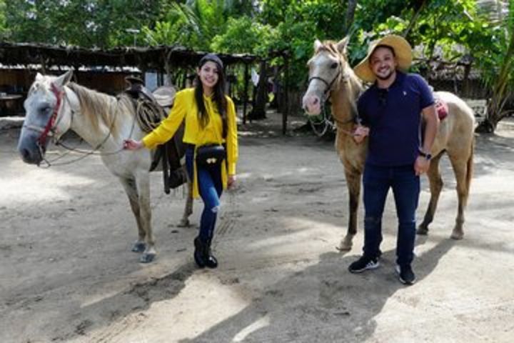 ✨ Lonly Beach-Countryside Horseback Riding Baby Turtle Release & Crocodile Farm image