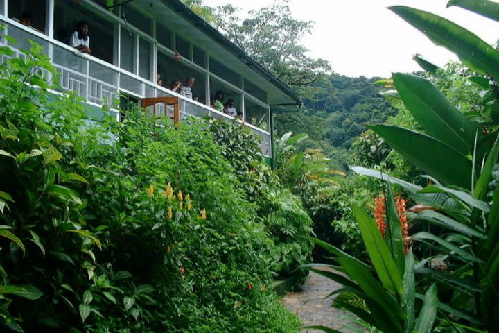 Asa Wright Nature Centre Guided Tour from Port of Spain image