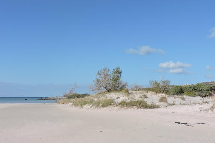 Elafonisi beach: Full day trip image