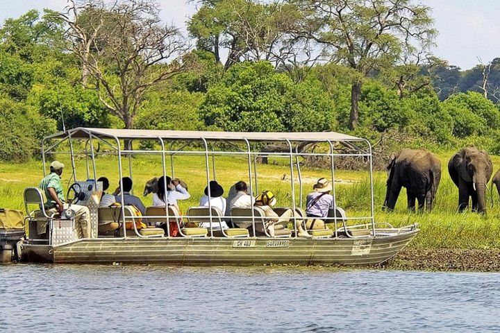 Chobe Day Trip In Botswana image