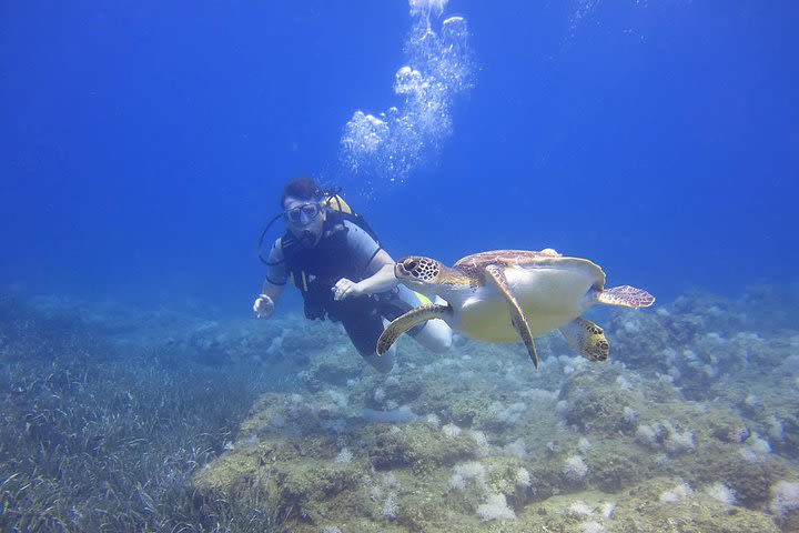 Scuba Diving Under Water Museum image