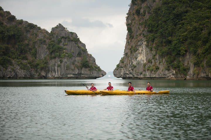 Luxury Halong bay- Lan Ha bay day cruise image