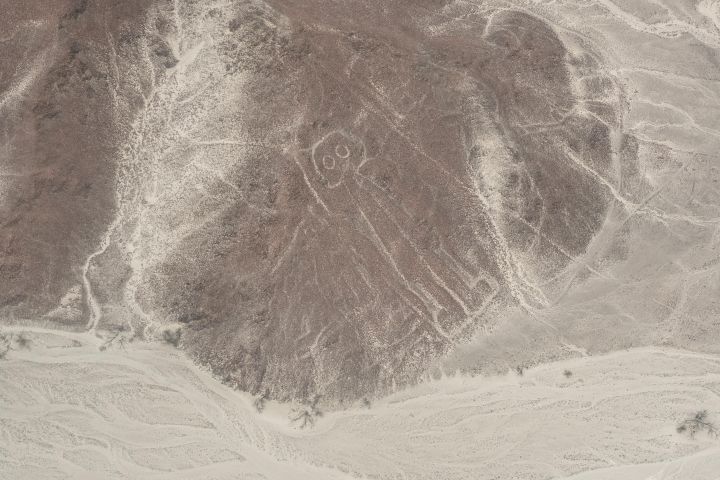 Nazca Lines Air Tour from Lima image