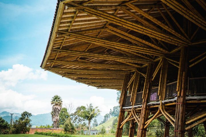 Eco-Park Recinto del Pensamiento Tour image