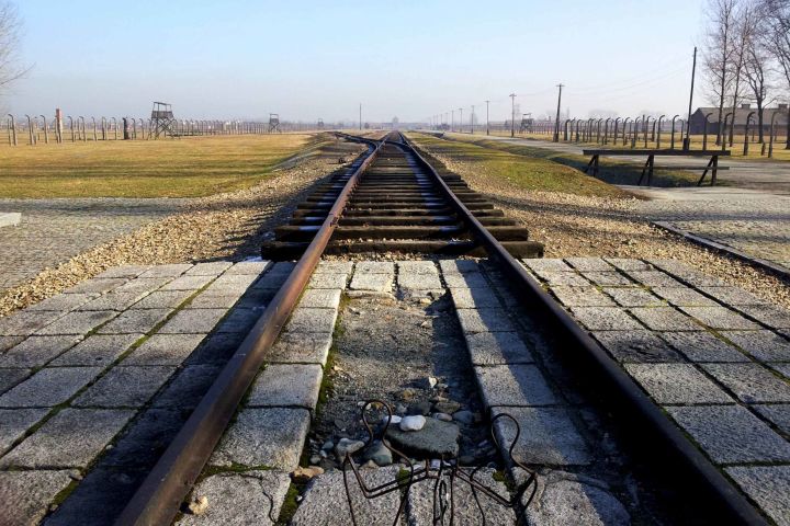 Auschwitz Birkenau Guided Tour from Krakow image