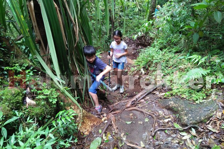 Mt Rinjani Trekking 2 Days 1 Night (Senaru Crater Rim) image