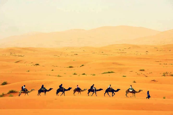 fes to marrakech 3 days desert tour image