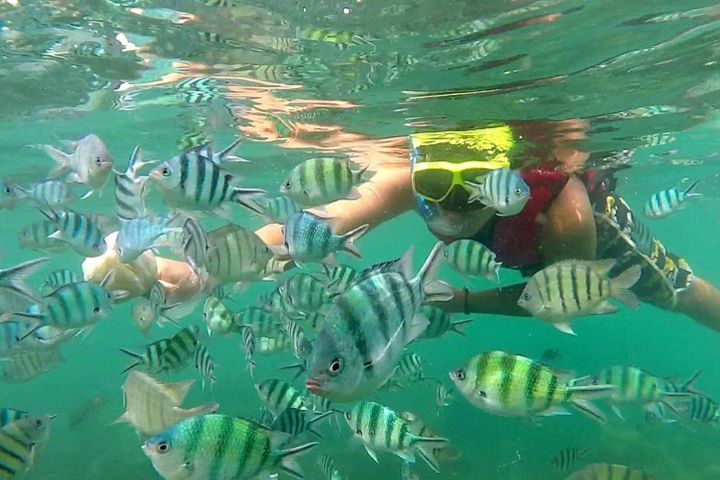 Sunset with Snorkeling at Koh Tan and Five Islands by Speed Boat image