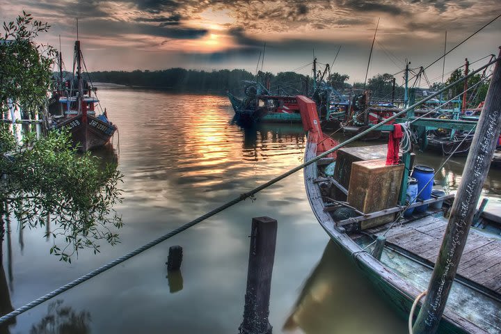 City Escape: Kuala Selangor Private Day Trip image