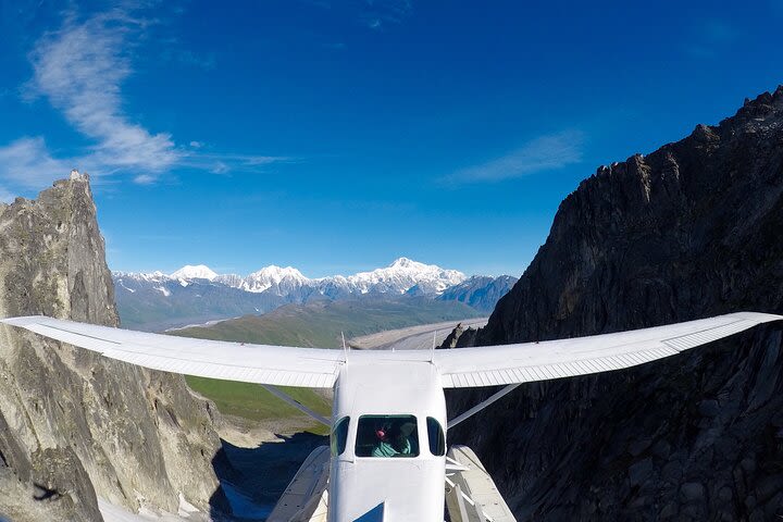 Small-Group Flight Denali National Park Tour with Guided Hike image