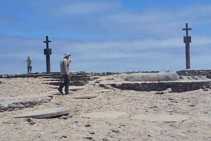 Cape Cross Seal colony Tour image