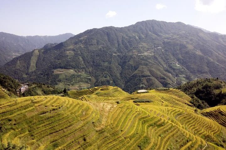 Longji Rice Terraces and Minority Village Private Trip from Guilin image