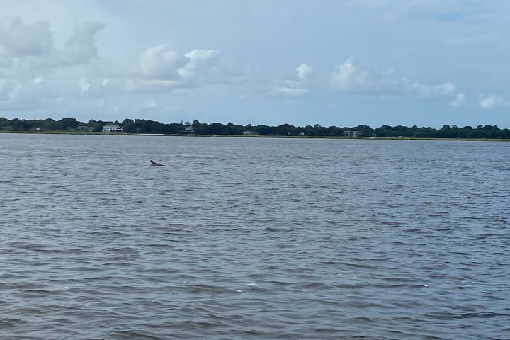 Shell Hunting Expedition  image