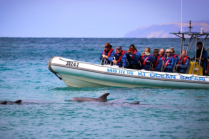 Kangaroo Island 75-Minute Ocean Safari image