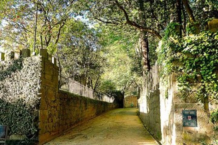 The Storyteller Porto Walking Tour image